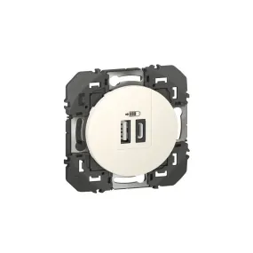 Double chargeur USB Dooxie LEGRAND (déclinaison)
