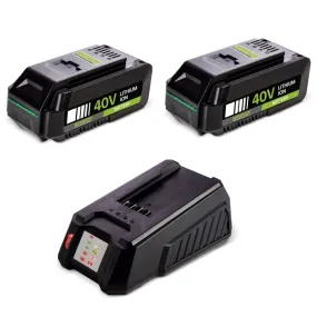 Pack 2 Batteries Lithium 40V 2.5 Ah + Chargeur 40V Indicateur de charge Compatibles Outils jardin 40V WARRIOR